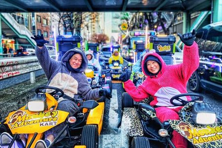 Premium Tokyo Go-Kart Tour from Shibuya to Shinjuku *IDP Required
