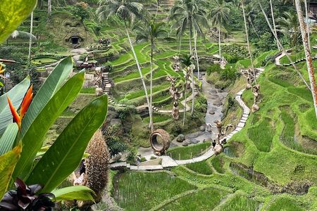 Bali Private Customizable Tour
