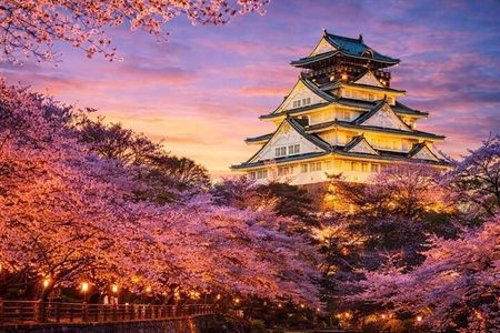 VIP Osaka and Nara Attractive Customized Pvt. One Day Tour