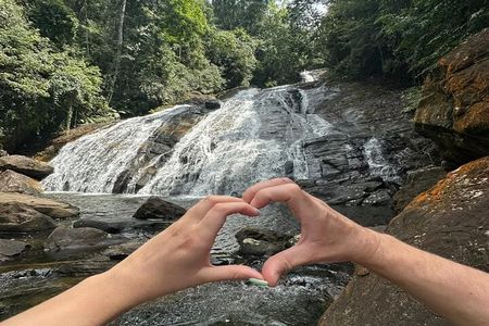 Sinharaja Rain Forest Day Tour from Mirissa, Galle, Bentota Area
