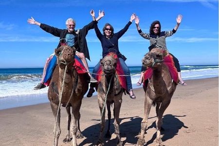 Tangier Half-Day Private Tour & Camel Ride Experience