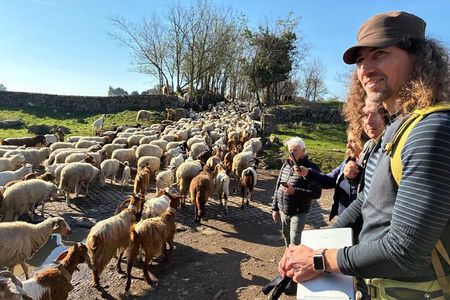 Hike Along the Ancient Appian Way