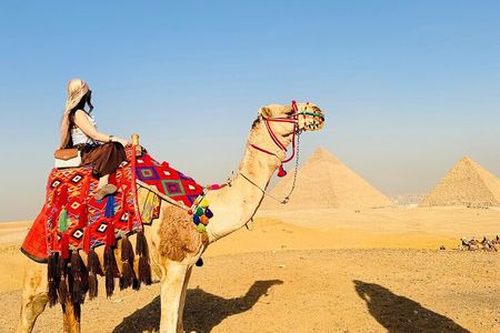 Cairo 8 Hour Private Tour of Pyramids & Egyptian Museum