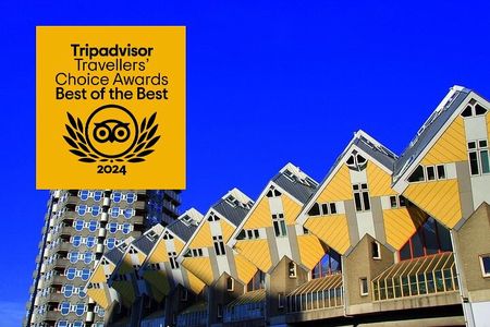 MUST DO: Rotterdam highlights & history with a local guide 