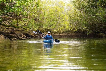 Dolphin Sanctuary Kayak Tour Adelaide