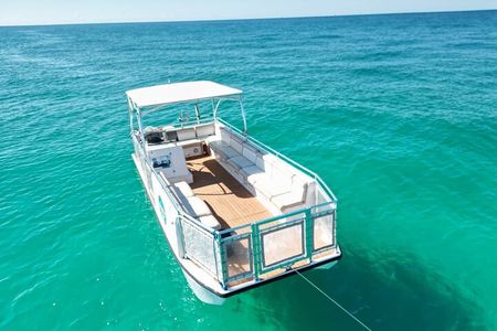 Dolphin Sightseeing and Shell Island Snorkel Tour