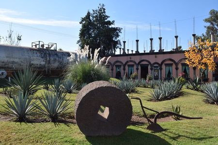 Premium Classic Tequila Experience in Cava de Oro