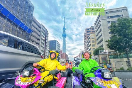 Tokyo Go Kart: Asakusa, Skytree, and Akihabara **IDP MUST**
