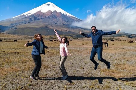 Cotopaxi National Park Private Tour from Quito with Guide