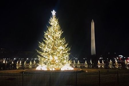 Private Day or Night Tour with 10 Stops, Guide, and Hotel Pick-Up