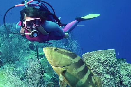 2 dives at coral reefs, Half day for certified divers