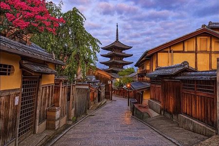  VIP Kyoto and Nara Customised Charming Private Day Tour 