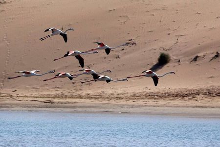 Agadir Off-Road Safari in National Park with Traditional Lunch