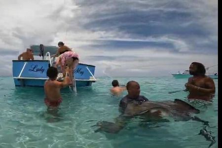 Stingray City Sandbar 3.5 hr Snorkel Tour & Starfish Beach