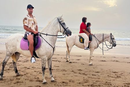 Agadir Half Day Horseback Ride