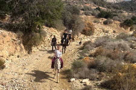 Agadir Half Day Horseback Ride