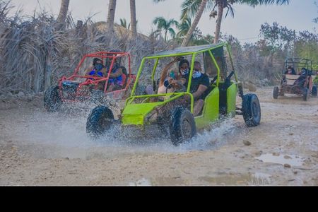 Half Day Buggy Tour