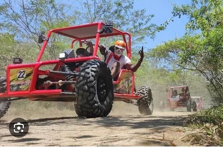 Half Day Buggy Tour