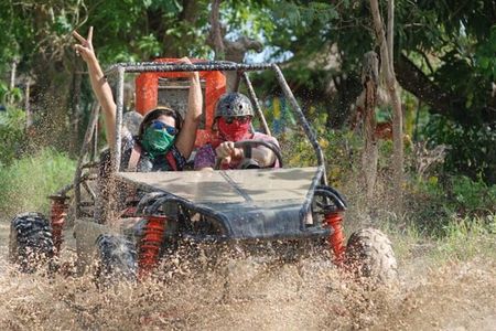 Half Day Buggy Tour 