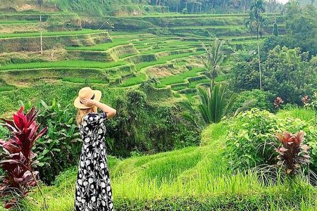 Ubud Tour - Ubud Highlight - Private Tour All inclusive
