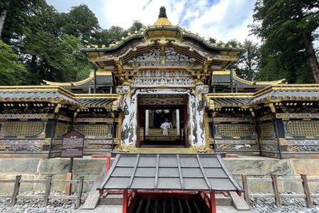 Exclusive Nikko UNESCO World Heritage Private Tour