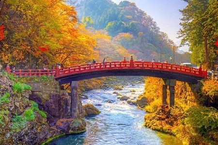 Exclusive Nikko UNESCO World Heritage Private Tour