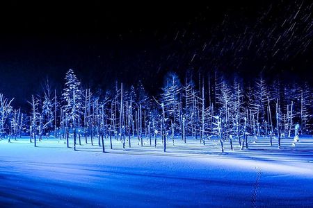 Biei Seasonal Highlights Day Trip from Sapporo
