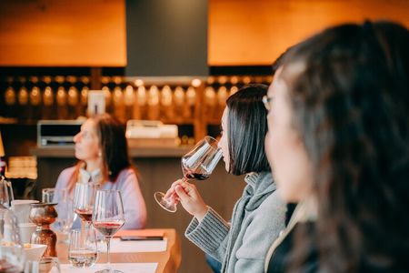 Amarone Wine-tasting Tour from Verona with Private Transportation