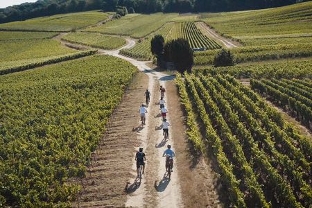 Reims: day in Champagne by electric bike with tastings