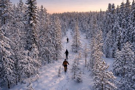 Guided Daytime Ski Adventure: Explore Private Trails by Rovaniemi