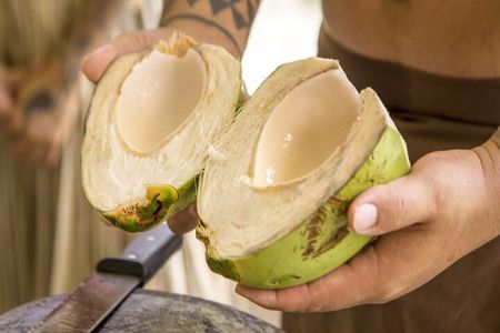 Underwater Observatory & Coconut Experience