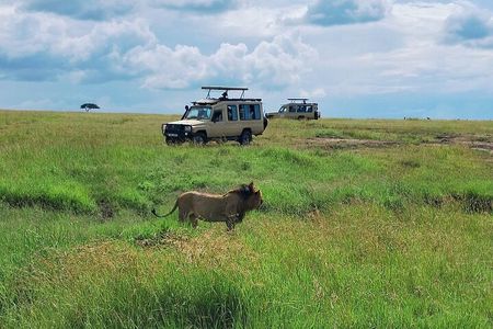 3 Day Maasai Mara Private Budget Safari