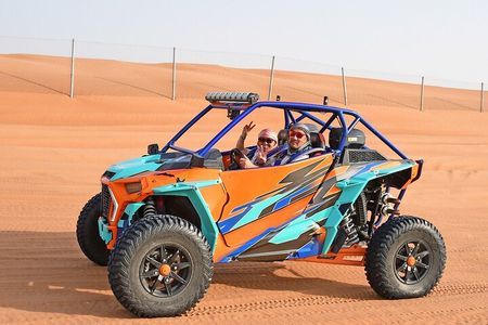 Dubai Red Dunes Buggy Ride (1 Hour) + Camel & Falcon Photo