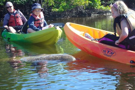 Half Day Kayak or SUP Rental (3hr) - Pelican Bay