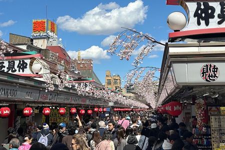 Experience Tokyo with Asakusa Walking Tour
