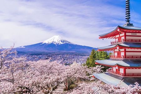 From Tokyo: Mt. Fuji 6 Attractions: Lake Kawaguchi, Oshino Hakkai