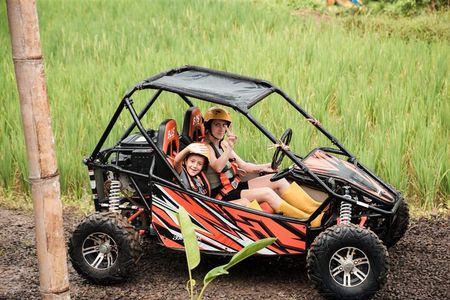 Bali Buggy Adventure Tour&with Lunch