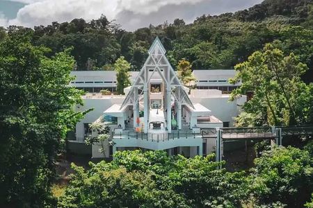 Easy Going El Yunque Rainforest Bus Tour