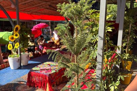 Atlas Mountains and Ourika Valley Day Trip from Marrakech