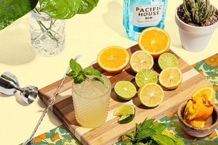 San Francisco Gin Cocktail Class Views and Gin History