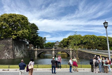 Tokyo Private Full-Day Tour by Car with Local Guide