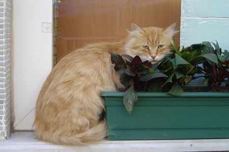 Basilica Cistern, Blue Mosque, Hippodrome & Art of Turkish Rugs