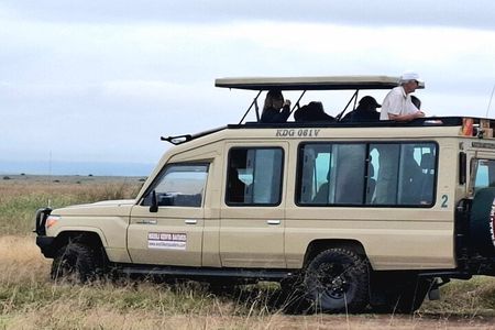 Private Day trip Amboseli National Park in 4x4 Landcruiser