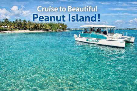 Peanut Island Sandbar and Swim Tour 