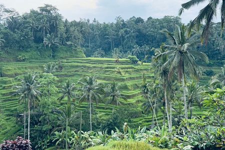 Cruise Ship Passenger Excursion From Benoa Port : Private Tour