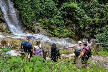 Chiang Mai Mae Kam Pong Wild Gibbon Jungle Trek with Transfer
