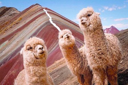 5 days tour to Machupicchu, Sacred Valley and Rainbow Mountain in small group