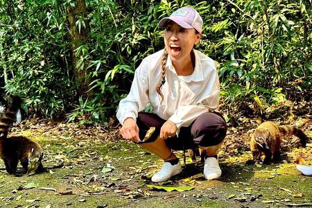 Wildlife Tour in Tijuca Forest