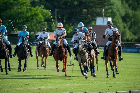 Polo Lessons in Mar del Plata: Learn and Improve Your Game