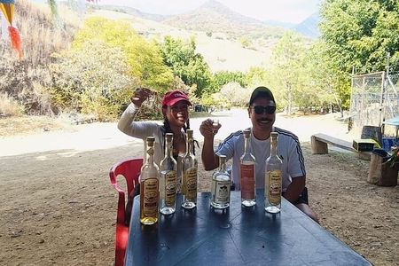 Wild Agaves Hiking Experience in Oaxaca